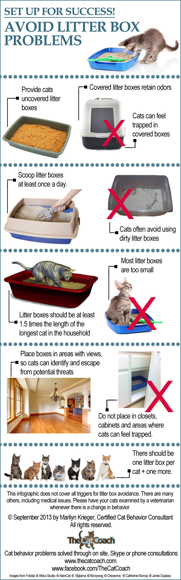 Hillpig Litter Box Manual