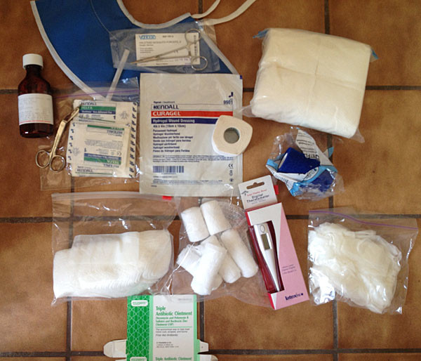 Pet Emergency First Aid Kit The Cat Coach